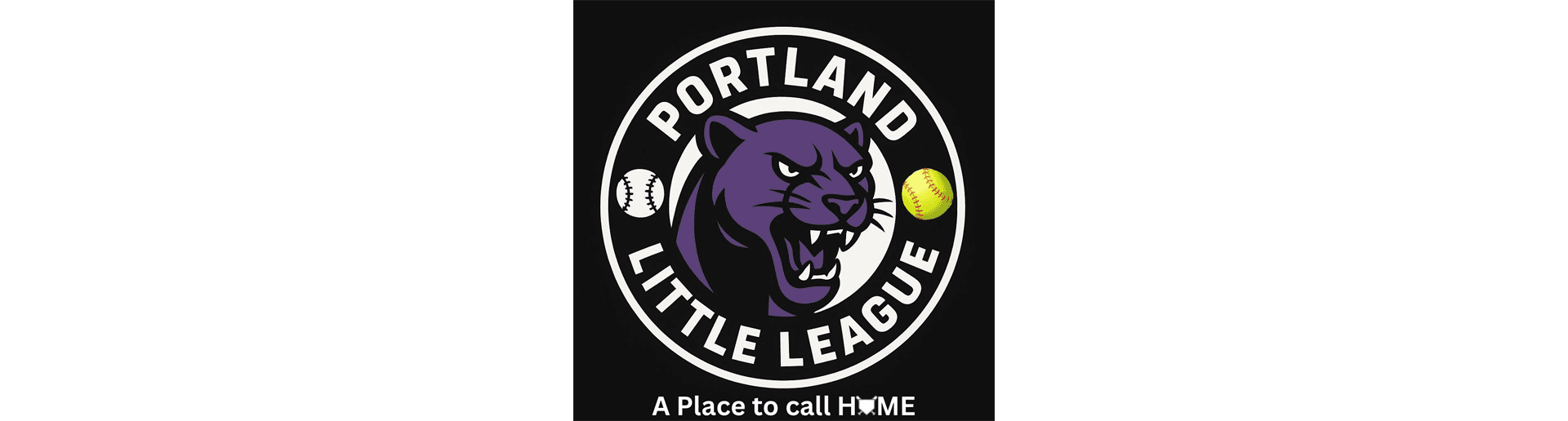 Portland Little League photo