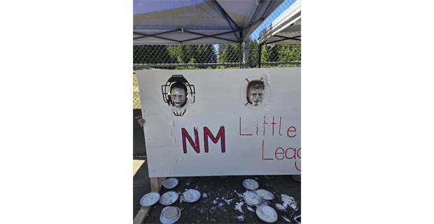 North Mason Little League photo