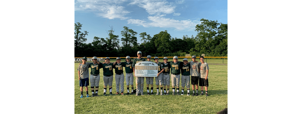 L.Y.S.A. Baseball State Tournament Plaque