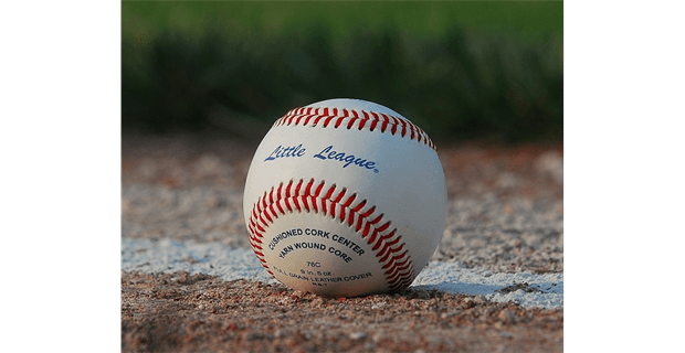 Baseball is life, the rest is just details.