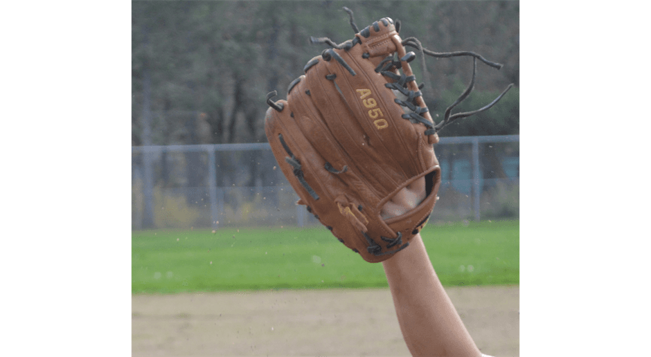 Baseball was, is, and always will be to me the best. - Ted Williams
