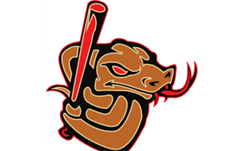 Warren County Copperheads