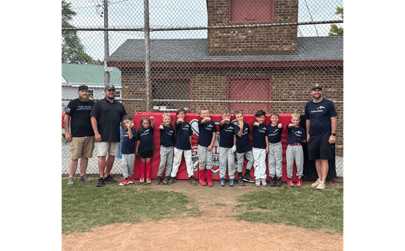 Shelby Little League photo