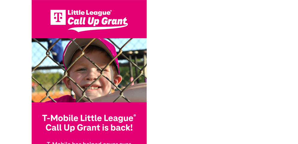 Ashtabula Little League photo