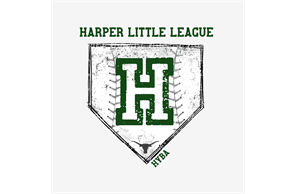 Harper Youth Baseball Little League hero