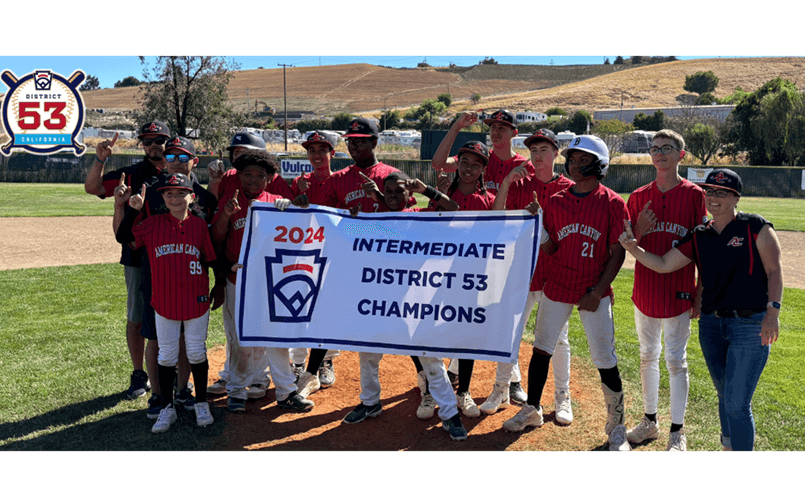 ACLL 2024 Intermediate District 53 Champs!!