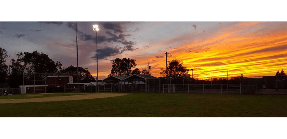 Bridgeport Upper Merion Little League photo