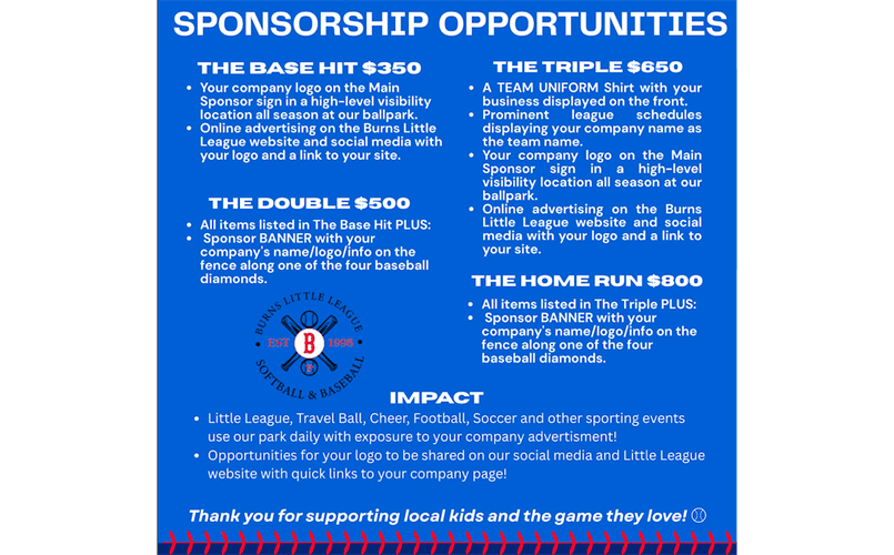 Burns Little League photo