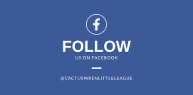 Cactus Wren Little League hero