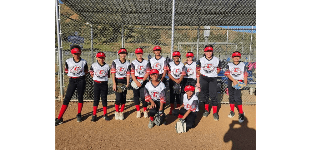 Central Little League photo