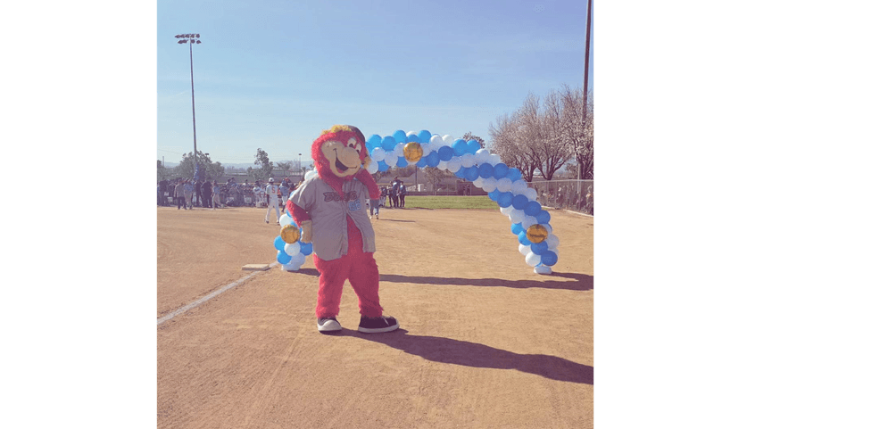 Central Little League photo