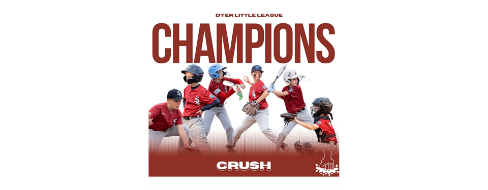 Dyer Little League photo