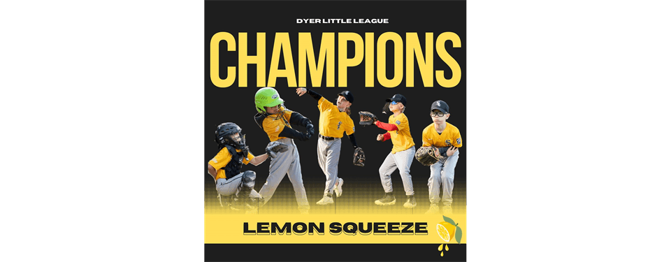 Dyer Little League photo