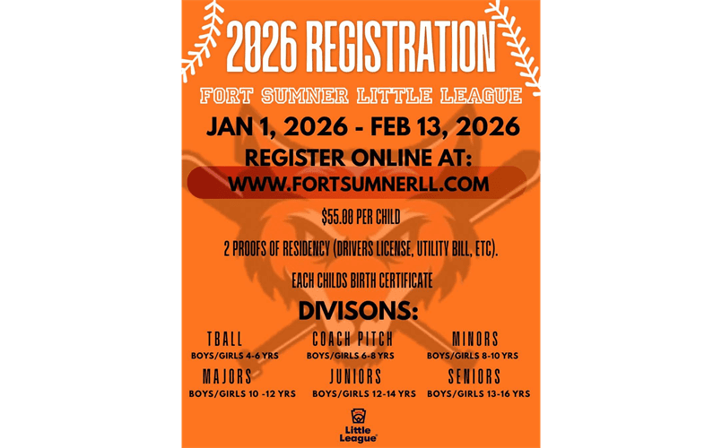 Fort Sumner Little League photo