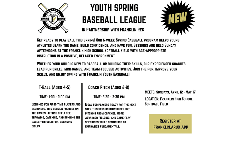 Youth Spring Baseball League