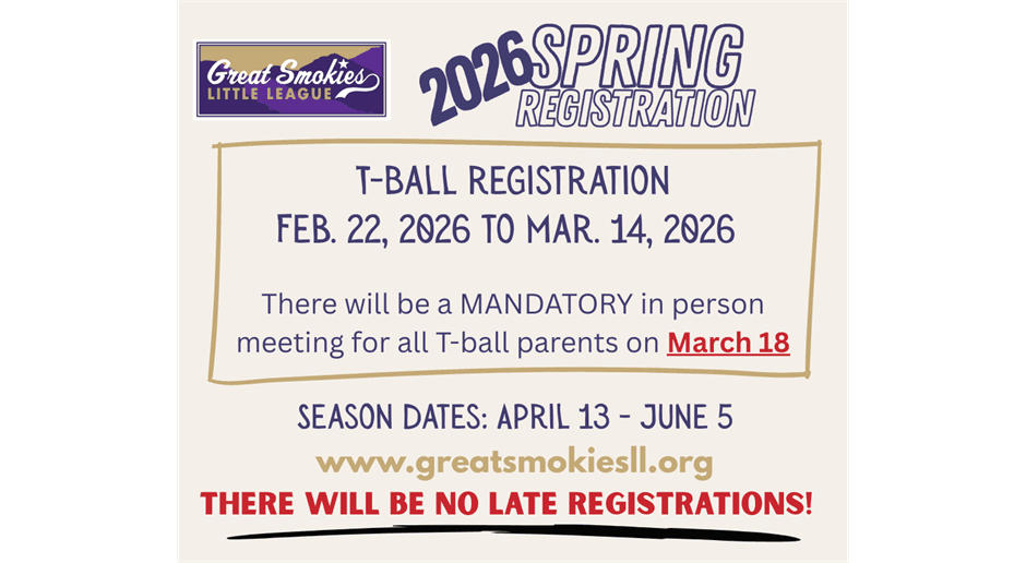 Great Smokies Little League photo