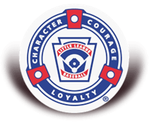 Great Smokies Little League hero