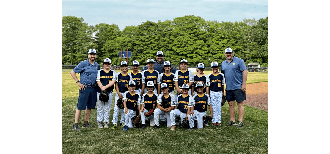 2024 Minors Baseball All Stars Team