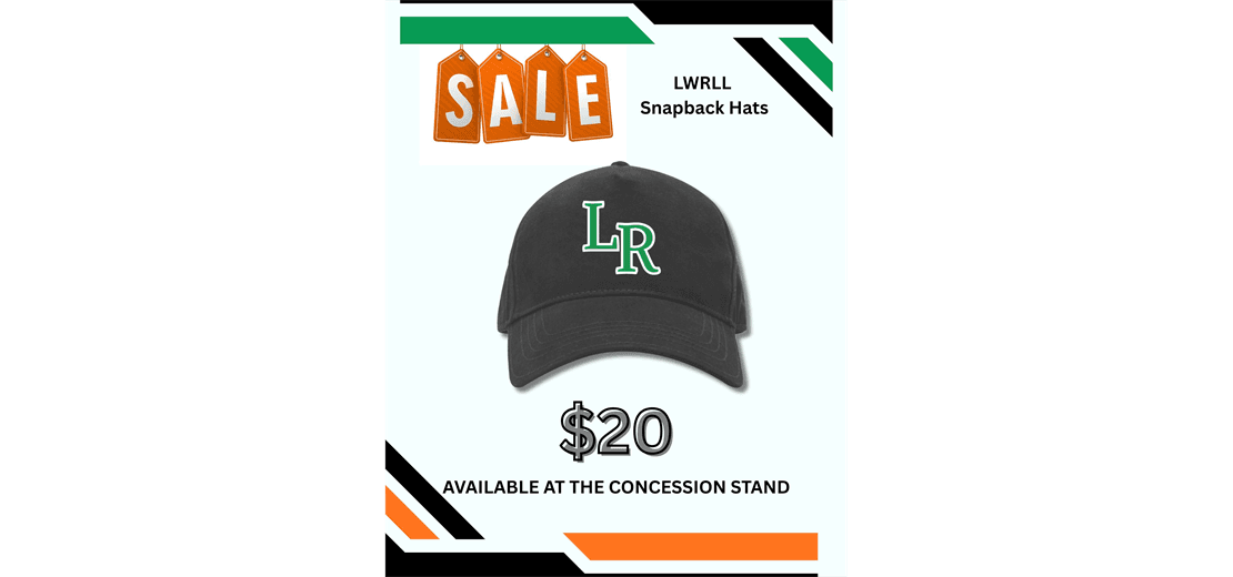 Lakewood Ranch Little League             photo