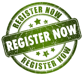 New Philadelphia Little League hero