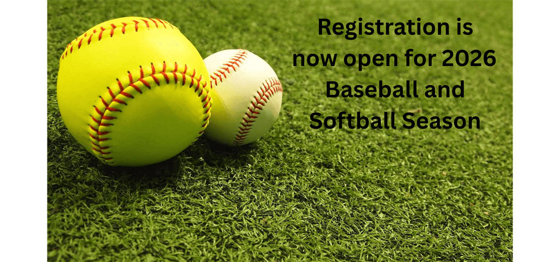 Nichols/Tioga Little League photo