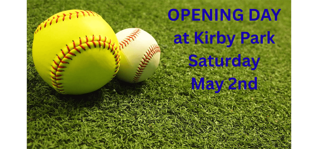 Nichols/Tioga Little League photo