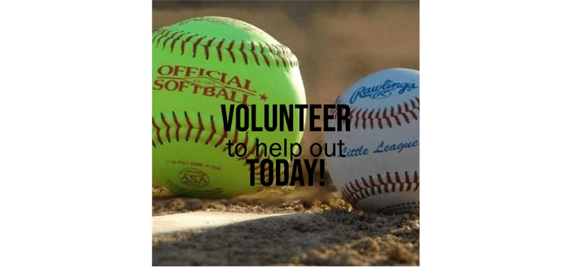 Nichols/Tioga Little League photo