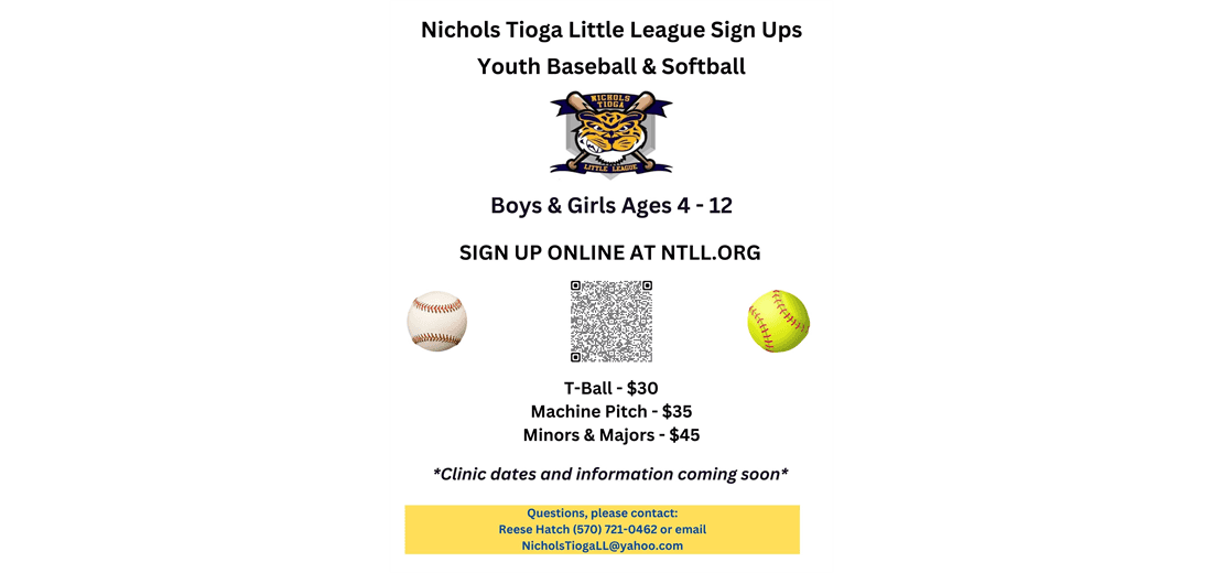 Nichols/Tioga Little League photo