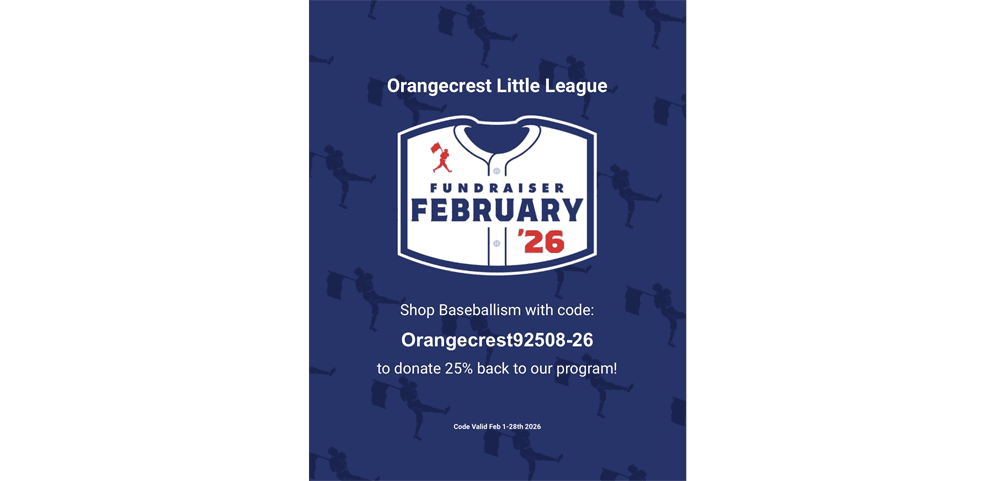 Baseballism Fundraiser