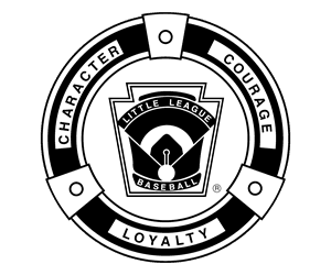 Shadow Mountain Little League hero