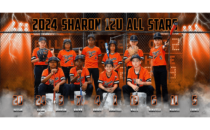 Sharon Little League photo