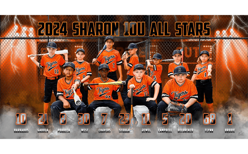 Sharon Little League photo