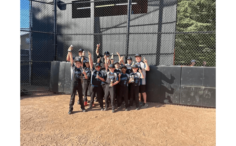 Sharon Little League photo