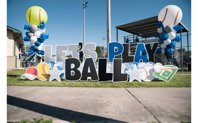 Sheldon Little League photo