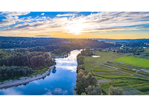 Snohomish Little League hero