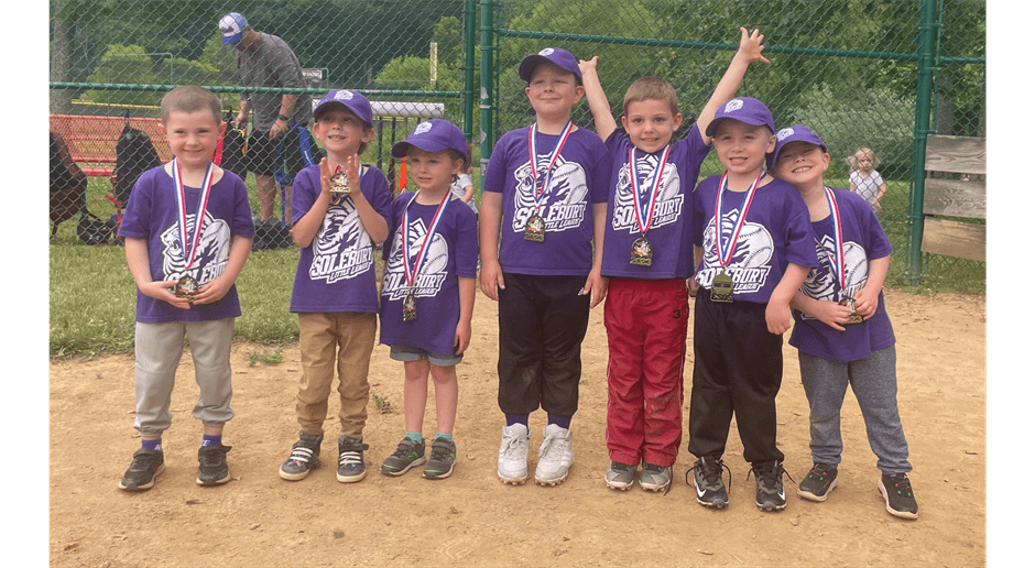 2023 - Purple Tee Ball Team