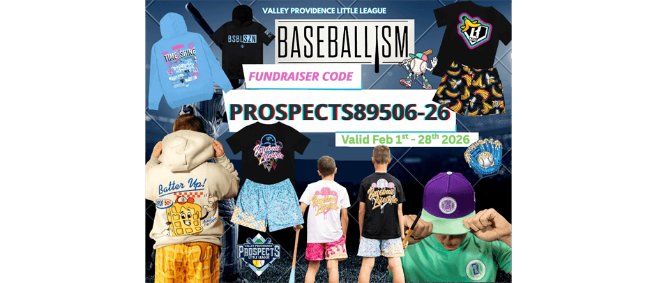 Valley Providence Little League photo