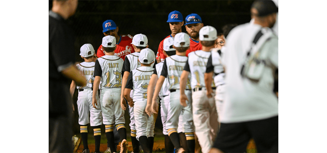 Vidor Youth Baseball Little League photo
