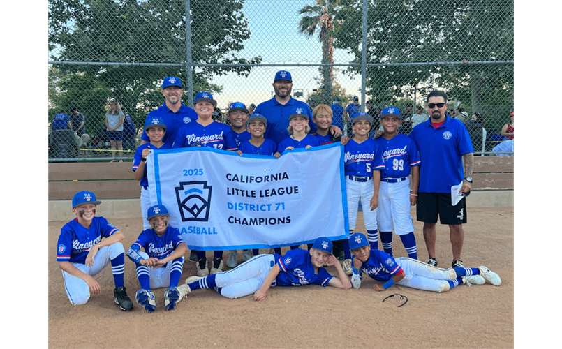 2025 Little League District 71 Champions