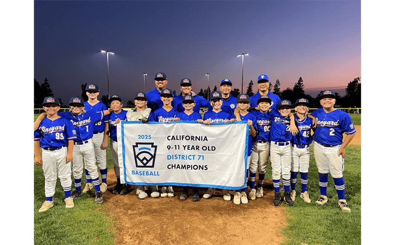 2025 9-11 District 71 Champions