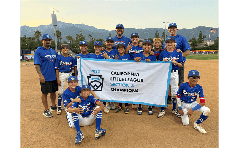 2025 Little League Section 8 Champion