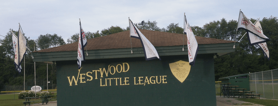 Celebrating Our Champions!