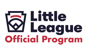 Williston Park Little League hero