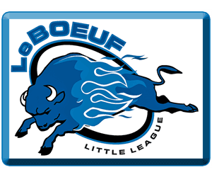 Leboeuf Little League hero