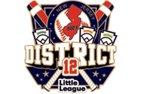 Bordentown Little League hero