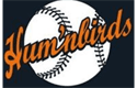 Sponsor logo