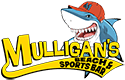 Sponsor logo