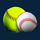 Henry County Little League hero
