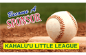 Sponsor logo
