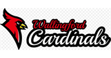 Sponsor logo